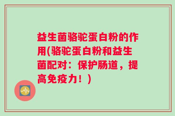 益生菌骆驼蛋白粉的作用(骆驼蛋白粉和益生菌配对：保护肠道，提高力！)