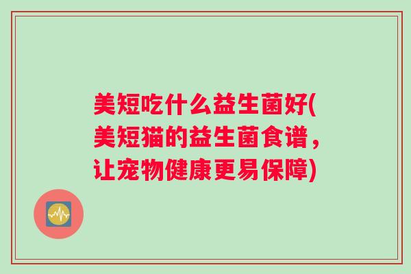 美短吃什么益生菌好(美短猫的益生菌食谱，让宠物健康更易保障)