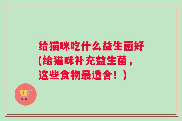 给猫咪吃什么益生菌好(给猫咪补充益生菌，这些食物适合！)