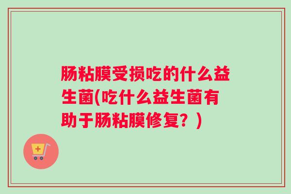 肠粘膜受损吃的什么益生菌(吃什么益生菌有助于肠粘膜修复?) 肠粘膜受损吃的什么益生菌(吃什么益生菌有助于肠粘膜修复?)