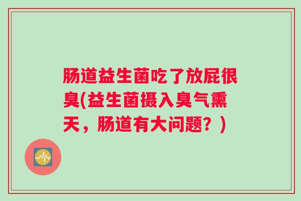 肠道益生菌吃了放屁很臭(益生菌摄入臭气熏天,肠道有大问题?) 肠道益生菌吃了放屁很臭(益生菌摄入臭气熏天,肠道有大问题?)