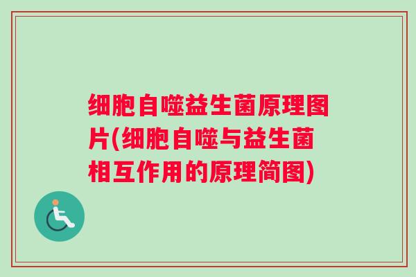 细胞自噬益生菌原理图片(细胞自噬与益生菌相互作用的原理简图)