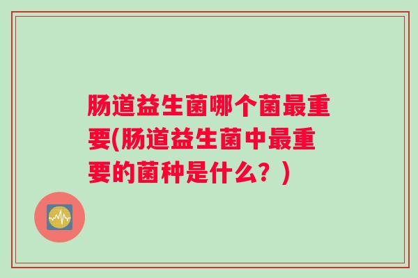肠道益生菌哪个菌重要(肠道益生菌中重要的菌种是什么？)