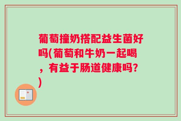 葡萄撞奶搭配益生菌好吗(葡萄和牛奶一起喝，有益于肠道健康吗？)