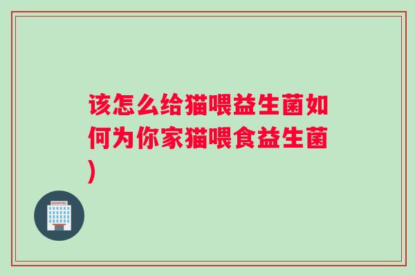 该怎么给猫喂益生菌如何为你家猫喂食益生菌)