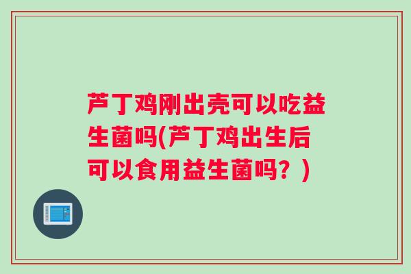 芦丁鸡刚出壳可以吃益生菌吗(芦丁鸡出生后可以食用益生菌吗？)