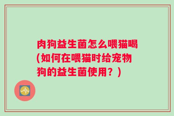 肉狗益生菌怎么喂猫喝(如何在喂猫时给宠物狗的益生菌使用？)
