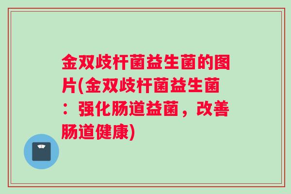 金双歧杆菌益生菌的图片(金双歧杆菌益生菌：强化肠道益菌，改善肠道健康)