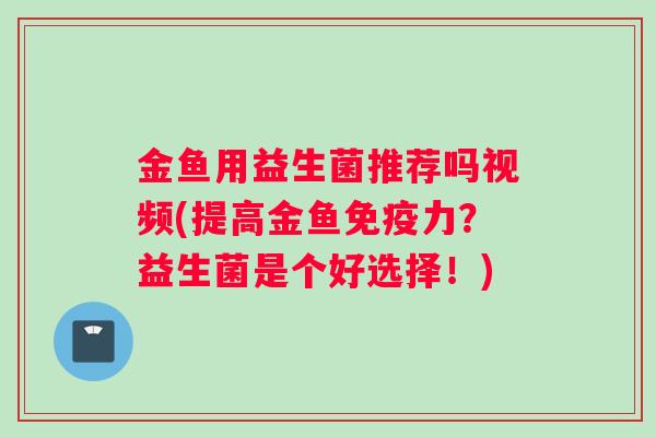 金鱼用益生菌推荐吗视频(提高金鱼免疫力？益生菌是个好选择！)