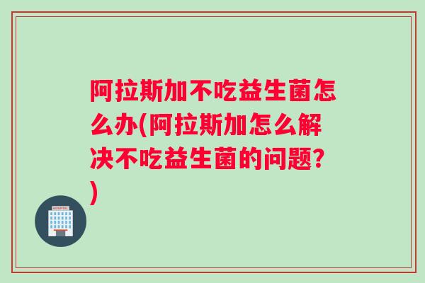阿拉斯加不吃益生菌怎么办(阿拉斯加怎么解决不吃益生菌的问题？)
