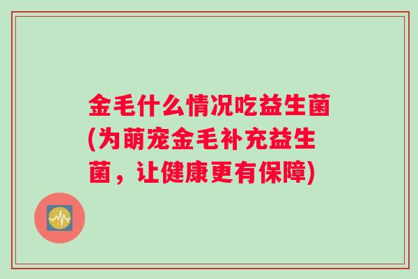 金毛什么情况吃益生菌(为萌宠金毛补充益生菌，让健康更有保障)