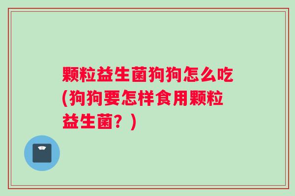 颗粒益生菌狗狗怎么吃(狗狗要怎样食用颗粒益生菌？)