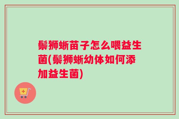 鬃狮蜥苗子怎么喂益生菌(鬃狮蜥幼体如何添加益生菌)