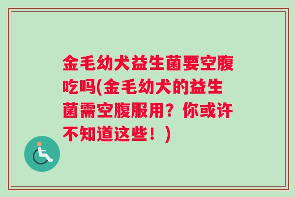 金毛幼犬益生菌要空腹吃吗(金毛幼犬的益生菌需空腹服用?你或许不知道这些!) 金毛幼犬益生菌要空腹吃吗(金毛幼犬的益生菌需空腹服用?你或许不知道这些!)
