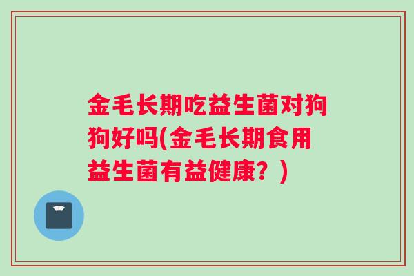 金毛长期吃益生菌对狗狗好吗(金毛长期食用益生菌有益健康？)