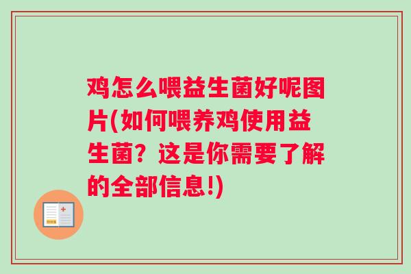 鸡怎么喂益生菌好呢图片(如何喂养鸡使用益生菌？这是你需要了解的全部信息!)