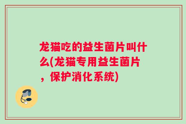 龙猫吃的益生菌片叫什么(龙猫专用益生菌片,保护消化系统) 龙猫吃的益生菌片叫什么(龙猫专用益生菌片,保护消化系统)