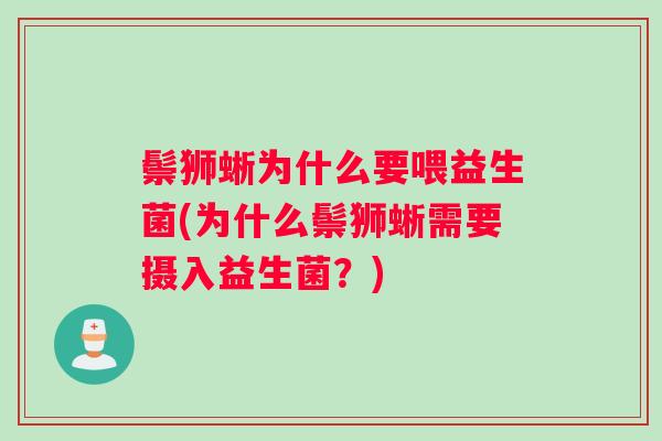 鬃狮蜥为什么要喂益生菌(为什么鬃狮蜥需要摄入益生菌?) 鬃狮蜥为什么要喂益生菌(为什么鬃狮蜥需要摄入益生菌?)