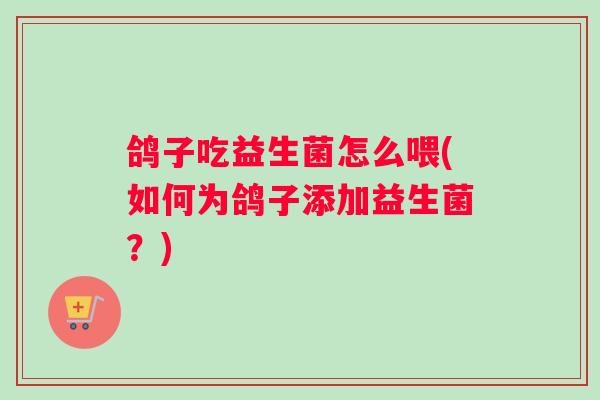鸽子吃益生菌怎么喂(如何为鸽子添加益生菌？)