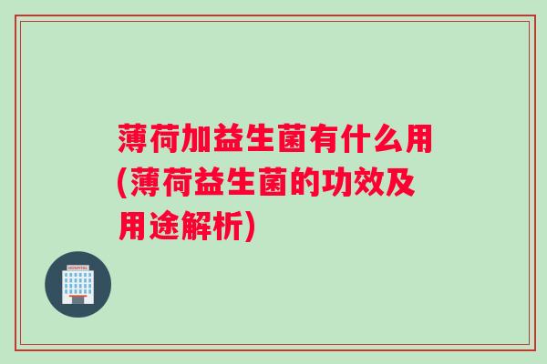 薄荷加益生菌有什么用(薄荷益生菌的功效及用途解析)