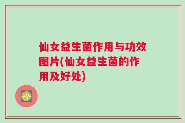 仙女益生菌作用与功效图片(仙女益生菌的作用及好处)
