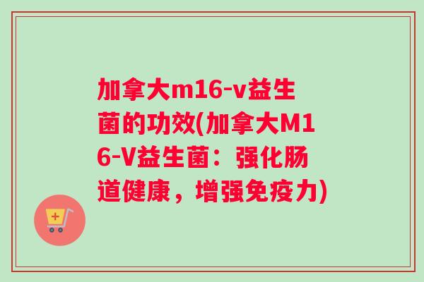 加拿大m16-v益生菌的功效(加拿大M16-V益生菌：强化肠道健康，增强力)