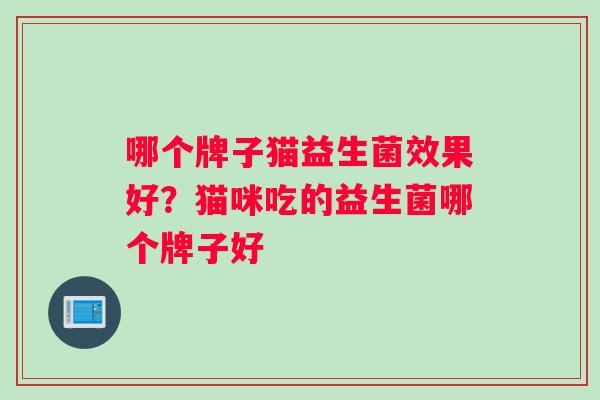 哪个牌子猫益生菌效果好？猫咪吃的益生菌哪个牌子好