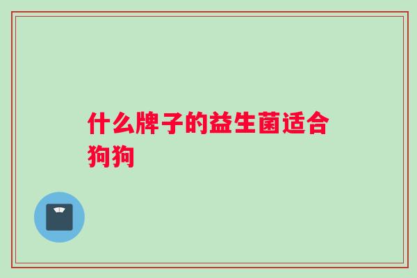 什么牌子的益生菌适合狗狗