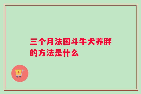 三个月法国斗牛犬养胖的方法是什么