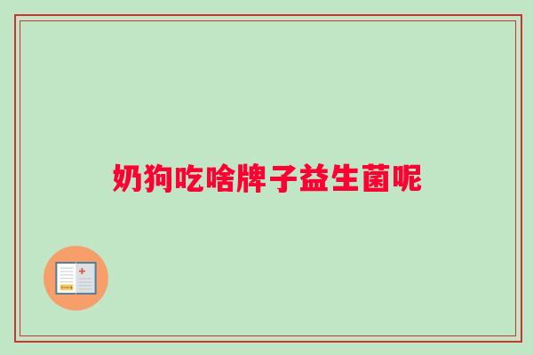 奶狗吃啥牌子益生菌呢