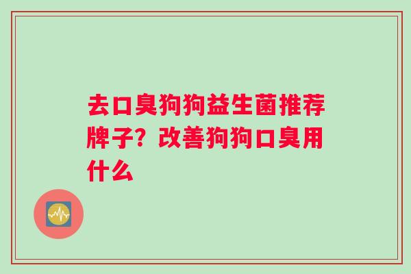 去口臭狗狗益生菌推荐牌子？改善狗狗口臭用什么
