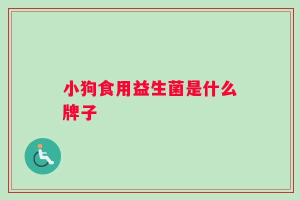 小狗食用益生菌是什么牌子