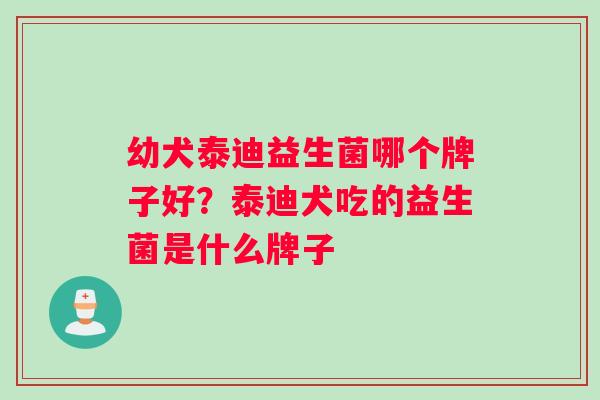 幼犬泰迪益生菌哪个牌子好？泰迪犬吃的益生菌是什么牌子