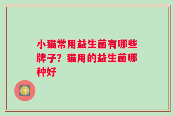 小猫常用益生菌有哪些牌子？猫用的益生菌哪种好