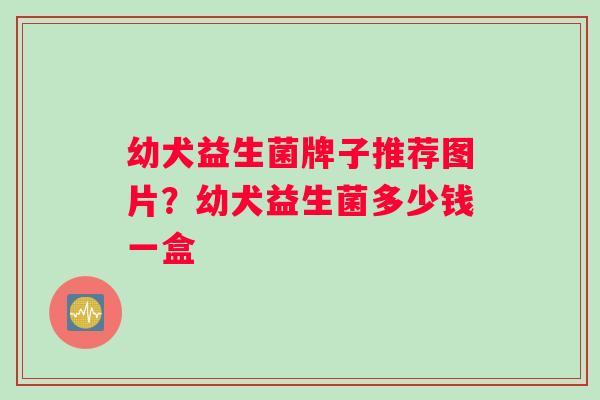 幼犬益生菌牌子推荐图片？幼犬益生菌多少钱一盒