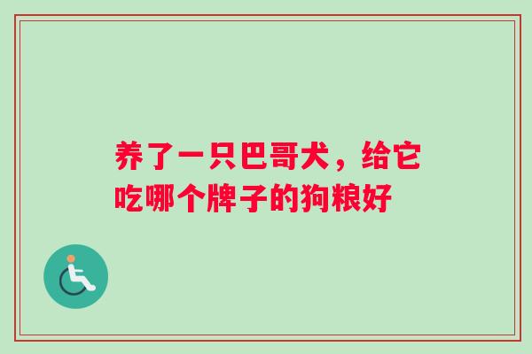 养了一只巴哥犬，给它吃哪个牌子的狗粮好