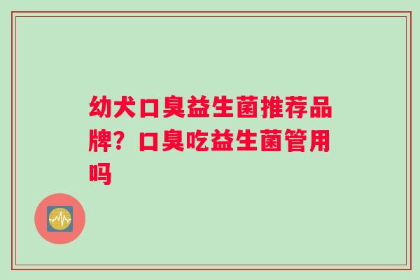 幼犬益生菌推荐品牌？吃益生菌管用吗