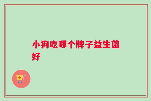 小狗吃哪个牌子益生菌好