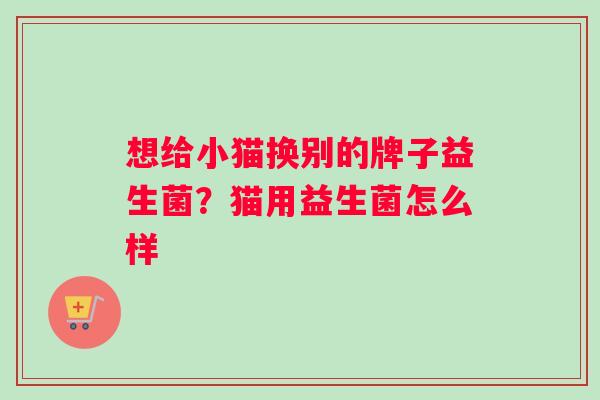 想给小猫换别的牌子益生菌？猫用益生菌怎么样