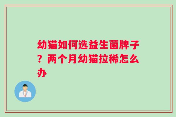 幼猫如何选益生菌牌子？两个月幼猫拉稀怎么办
