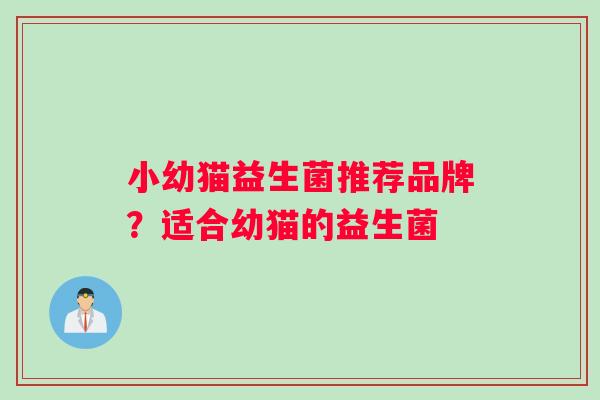小幼猫益生菌推荐品牌？适合幼猫的益生菌
