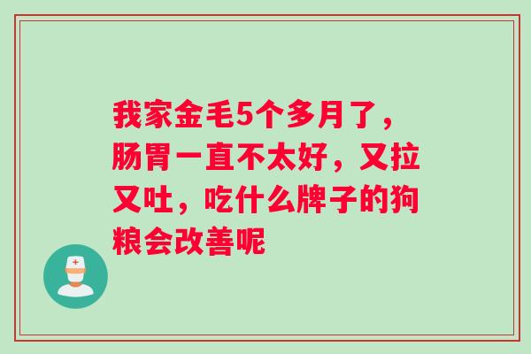 我家金毛5个多月了，肠胃一直不太好，又拉又吐，吃什么牌子的狗粮会改善呢