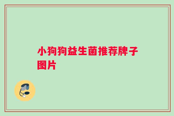 小狗狗益生菌推荐牌子图片