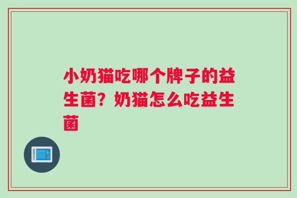 小奶猫吃哪个牌子的益生菌?奶猫怎么吃益生菌 小奶猫吃哪个牌子的益生菌?奶猫怎么吃益生菌