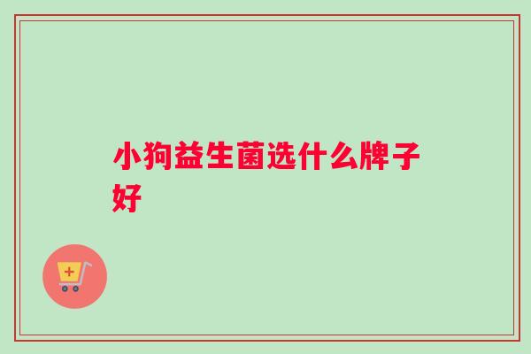 小狗益生菌选什么牌子好