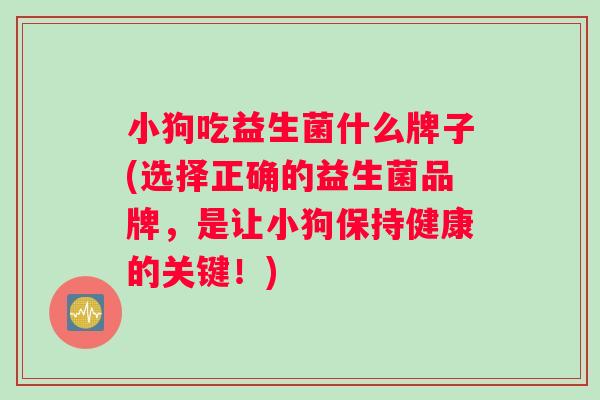 小狗吃益生菌什么牌子(选择正确的益生菌品牌，是让小狗保持健康的关键！)