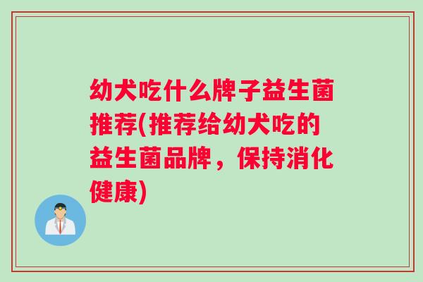 幼犬吃什么牌子益生菌推荐(推荐给幼犬吃的益生菌品牌，保持消化健康)