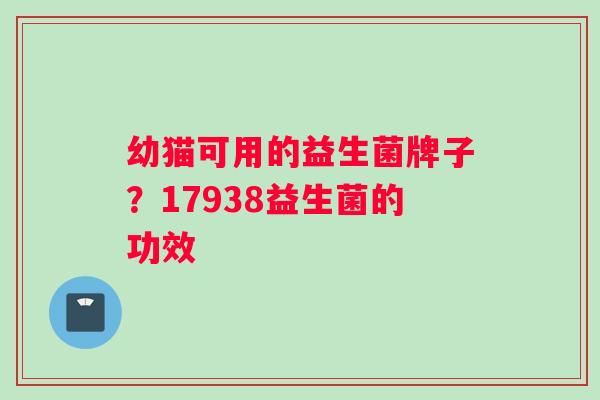 幼猫可用的益生菌牌子?17938益生菌的功效 幼猫可用的益生菌牌子?17938益生菌的功效