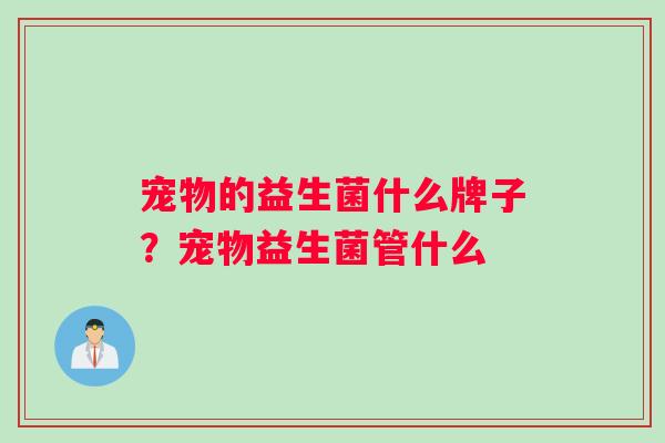 宠物的益生菌什么牌子？宠物益生菌管什么