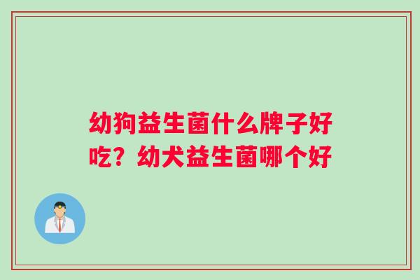 幼狗益生菌什么牌子好吃？幼犬益生菌哪个好